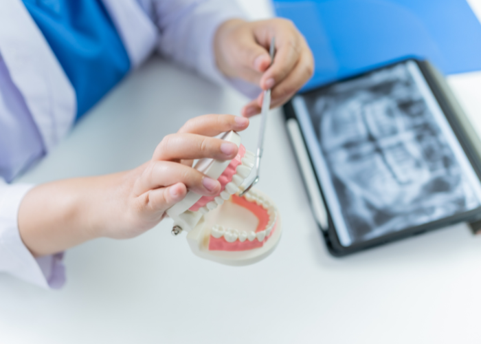 Dentist demonstrating dental anatomy with a model of a jaw and teeth, alongside an x-ray on a tablet, highlighting dental care and treatment options.